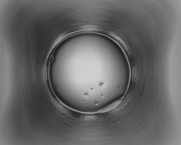 X0000116601467200912181136