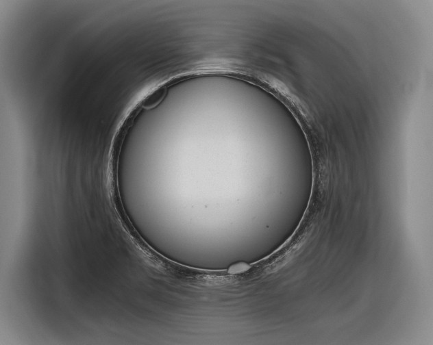 X0000116601469200912181136