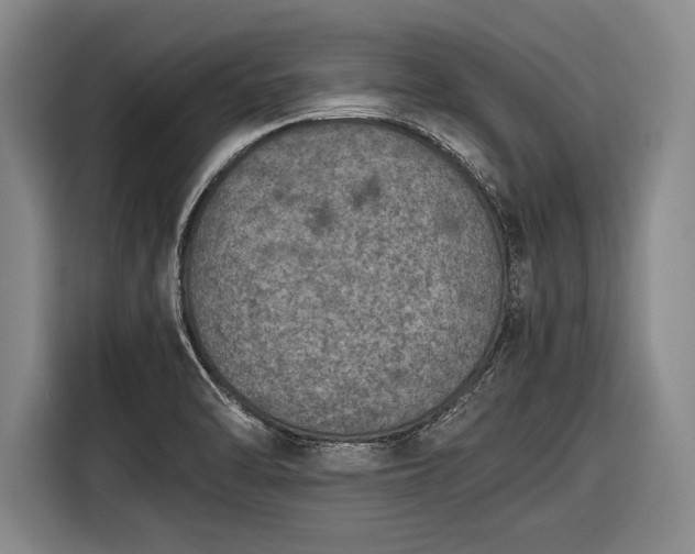 X0000116601470200912181136