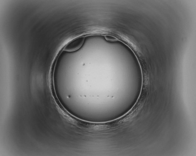 X0000116601471200912181136