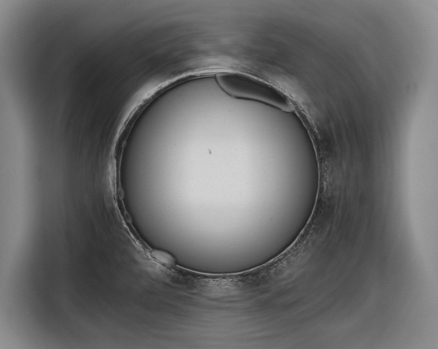 X0000116601472200912181136