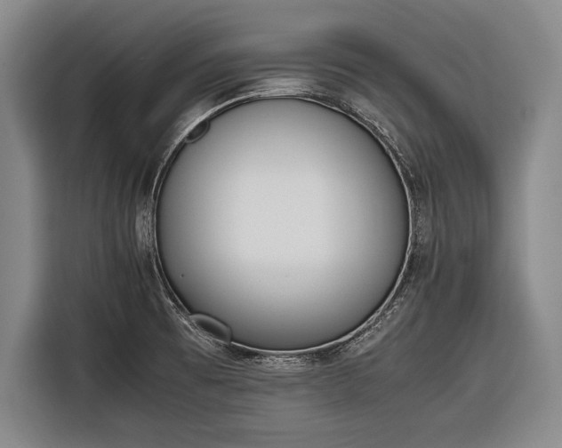 X0000116601473200912181136