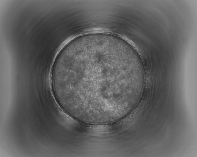 X0000116601474200912181136