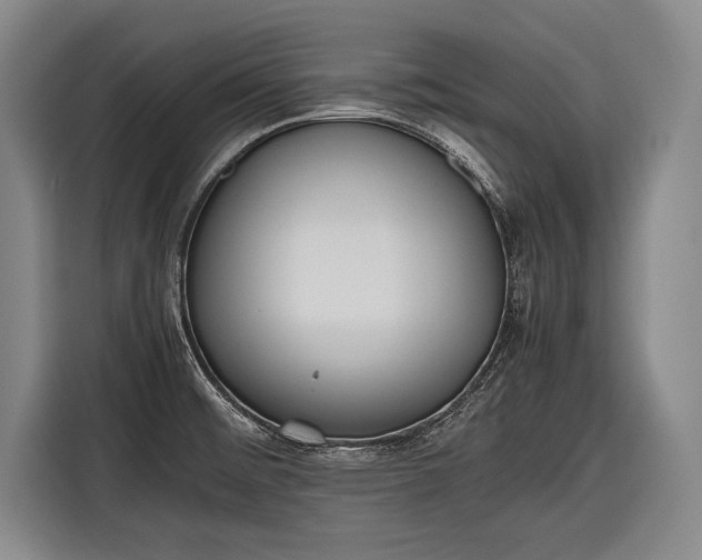 X0000116601476200912181136