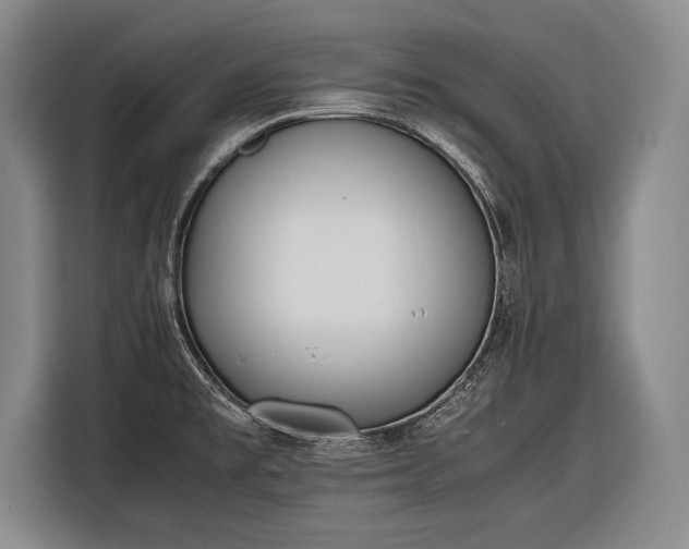 X0000116601477200912181136