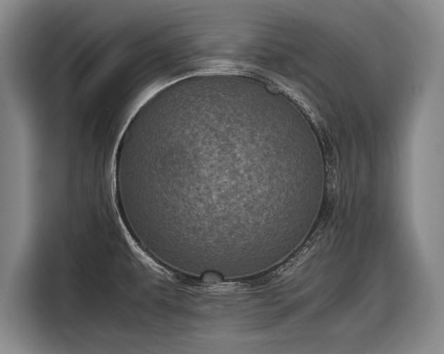 X0000116601479200912181136