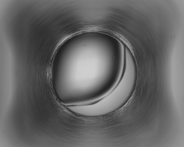 X0000116601481200912181136