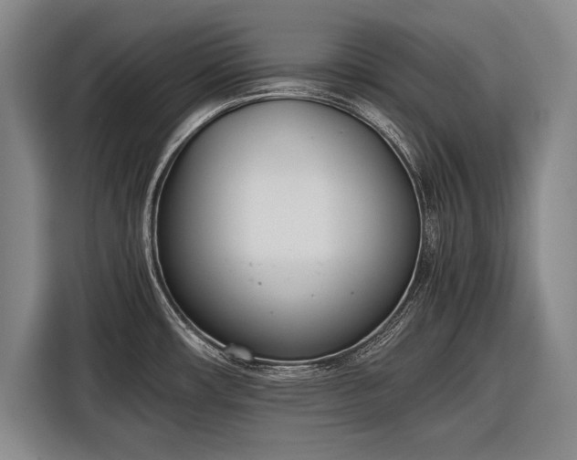 X0000116601482200912181136
