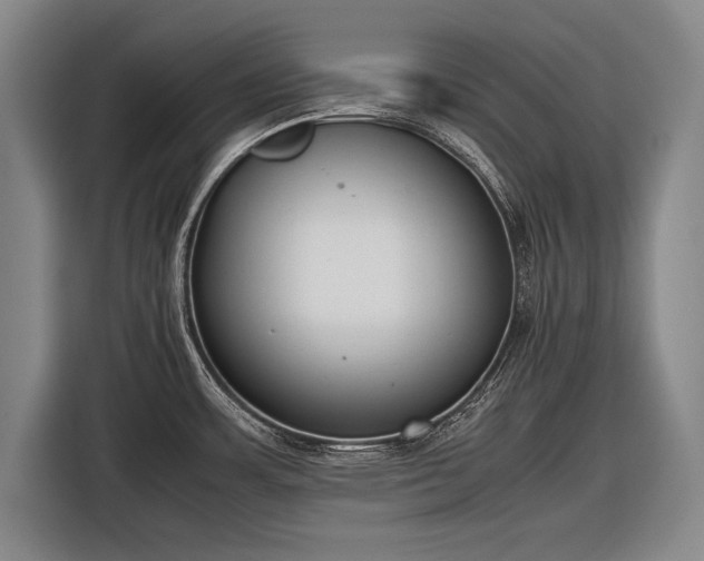 X0000116601483200912181136