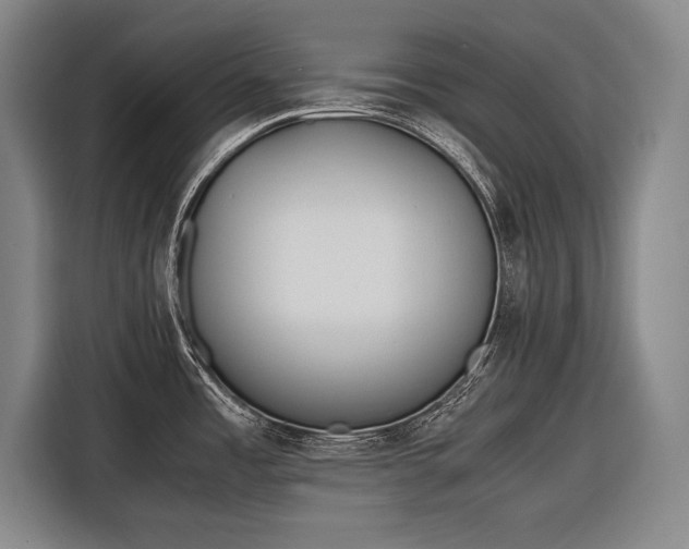 X0000116601485200912181136
