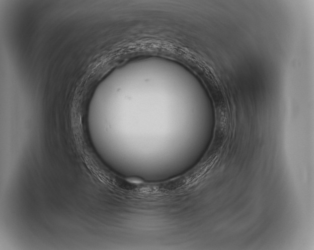 X0000116601489200912181135