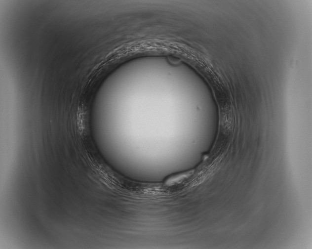 X0000116601490200912181135