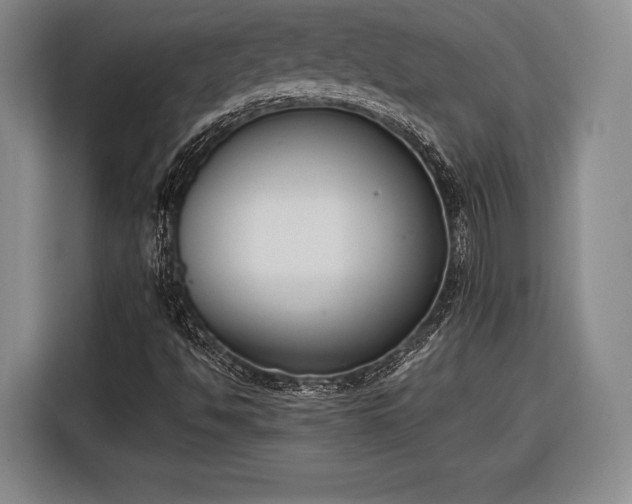 X0000116601494200912181135