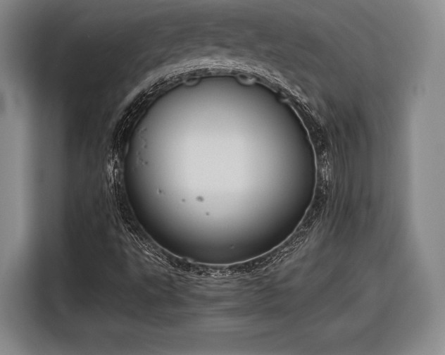 X0000116601495200912181135