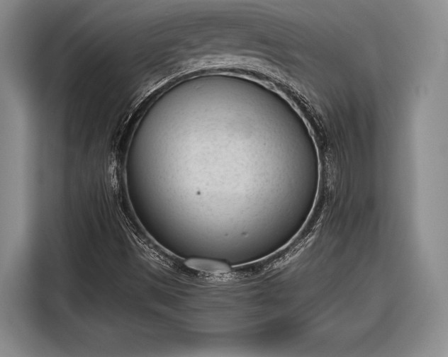 X0000116601497200912181135