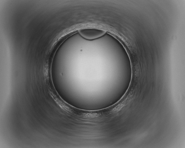 X0000116601499200912181135