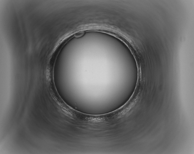 X0000116601501200912181135