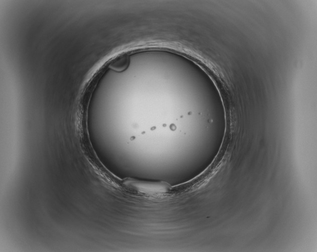 X0000116601502200912181135