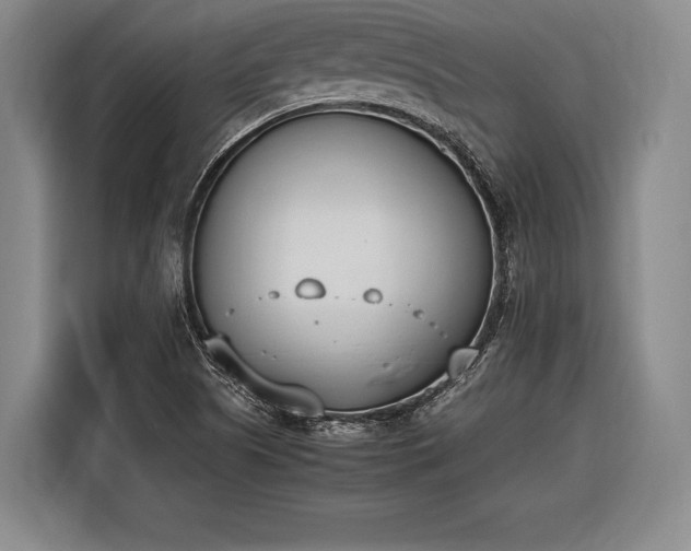 X0000116601505200912181135