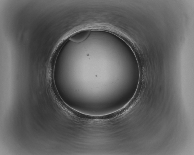 X0000116601506200912181135
