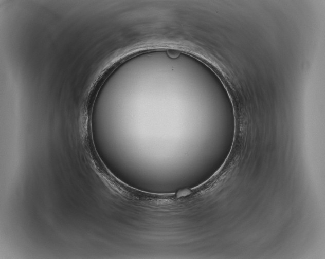 X0000116601507200912181135