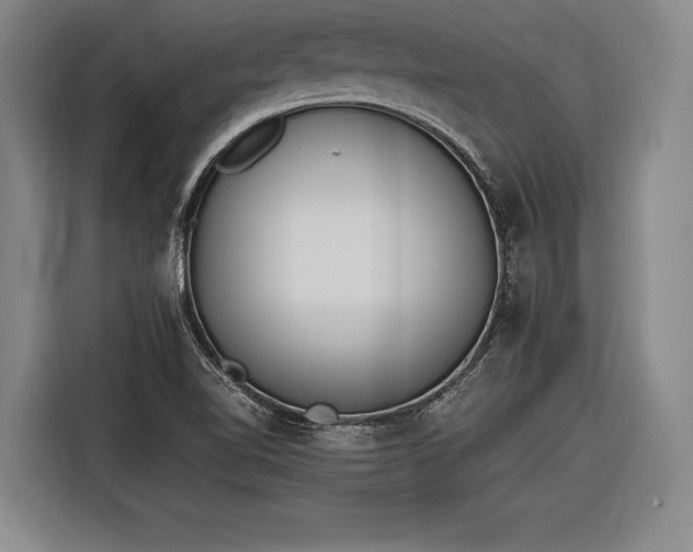 X0000116601510200912181136