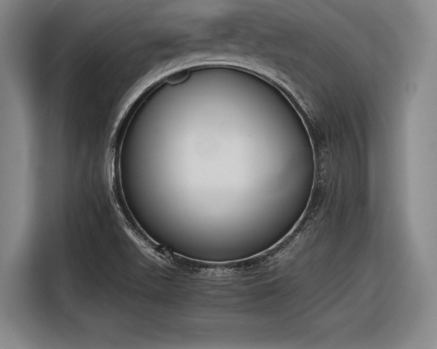 X0000116601511200912181136