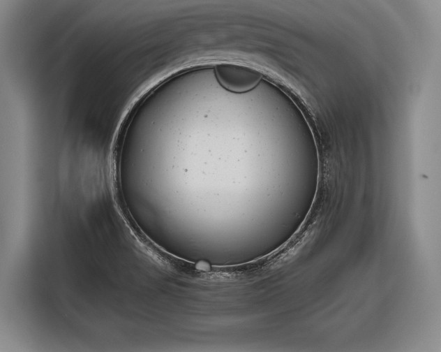 X0000116601517200912181136