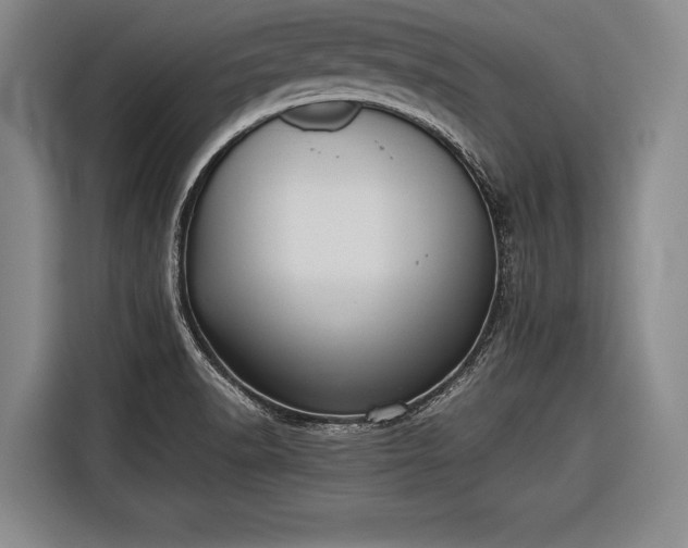X0000116601518200912181136
