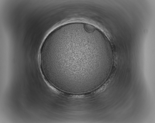 X0000116601519200912181136