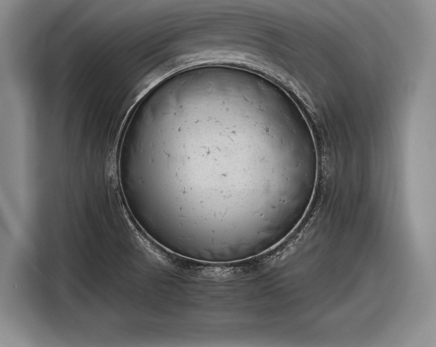 X0000116601521200912181136