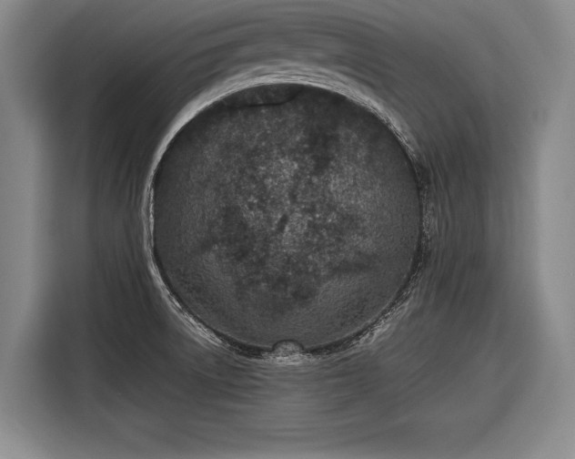 X0000116601522200912181136