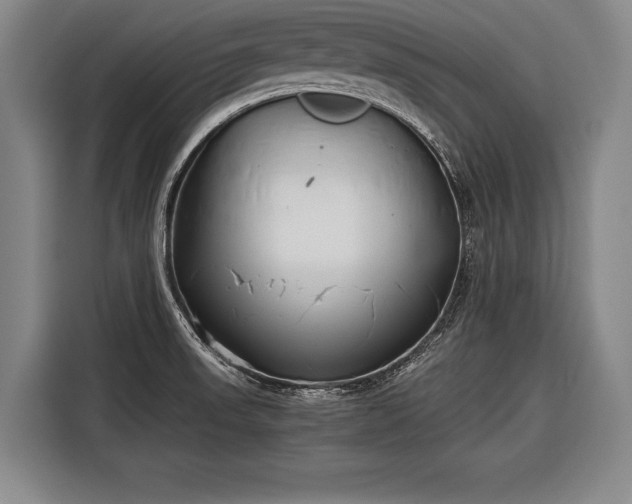 X0000116601523200912181136