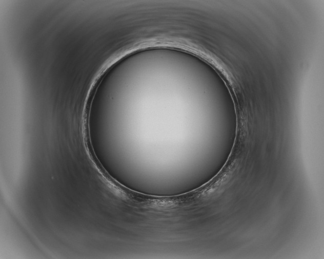 X0000116601525200912181136