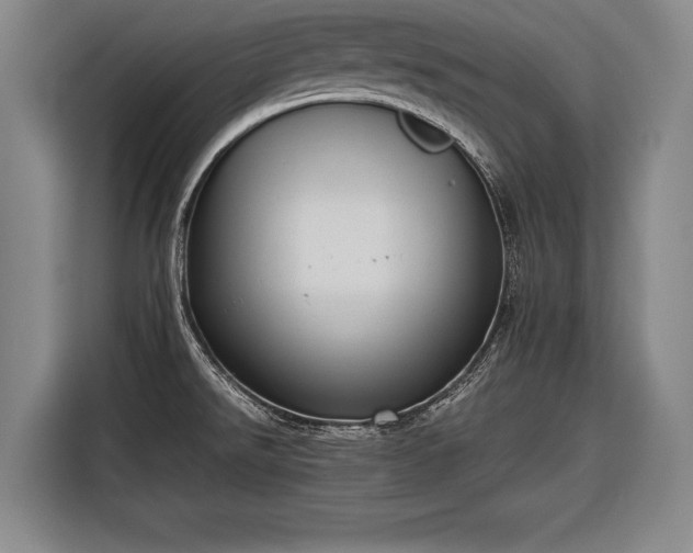 X0000116601526200912181136