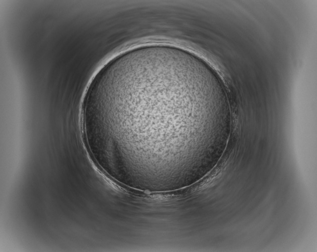 X0000116601527200912181136