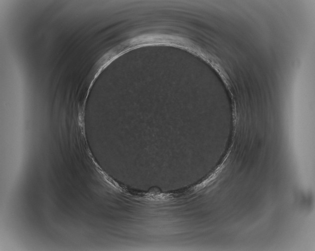 X0000116601529200912181136