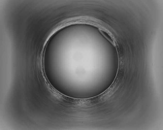 X0000116601530200912181136