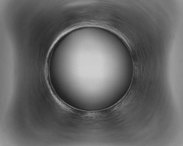 X0000116601531200912181136