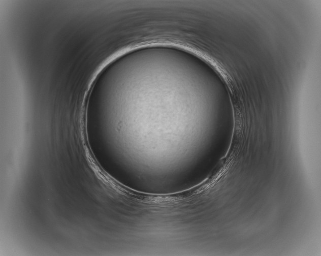 X0000116601534200912181136