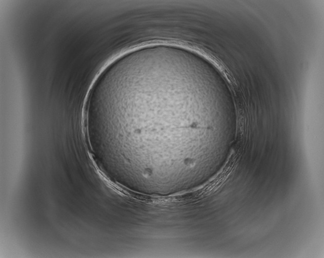 X0000116601535200912181136
