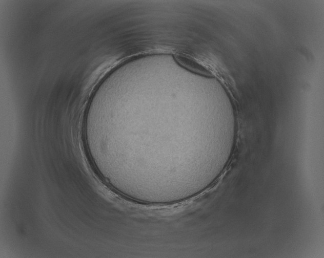 X0000116600001200912241723