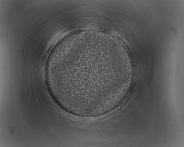 X0000116600002200912241723