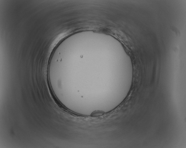 X0000116600003200912241723