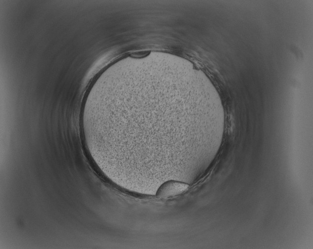 X0000116600004200912241723