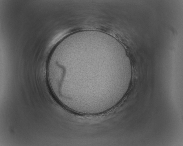 X0000116600005200912241723