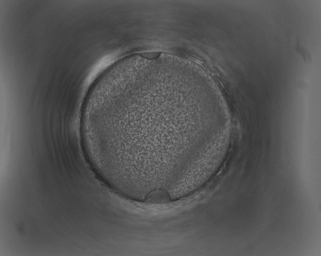 X0000116600006200912241723