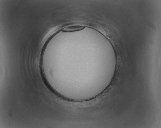 X0000116600007200912241723