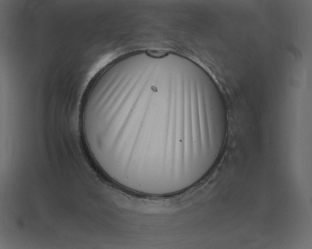 X0000116600008200912241723