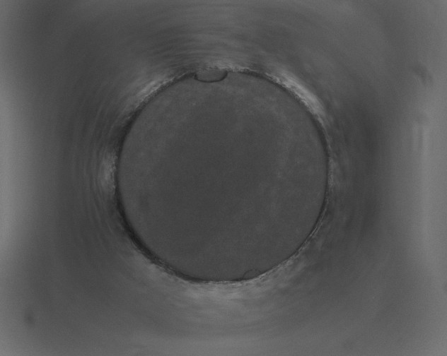 X0000116600009200912241723